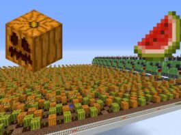 How to Grow Pumpkins and Melons in Minecraft
