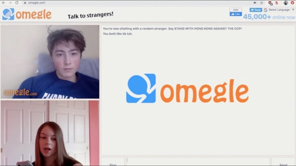 What is omegle