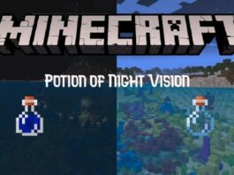Make Night Vision Potion, Night Vision Potion Minecraft, Make A Potion Of Night Vision, Potion Of Night Vision, Use of Night Vision in Minecraft