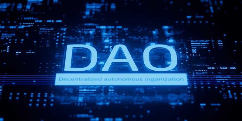 What is a DAO