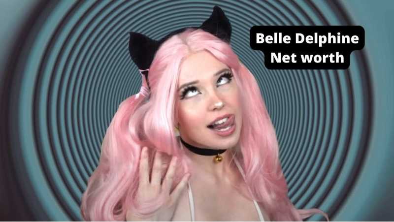 How Much Is Belle Delphine Worth?