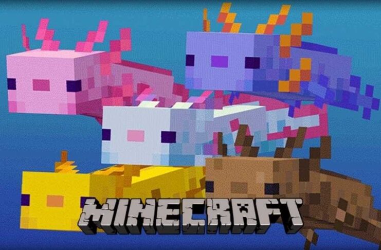 Axolotls Eat In Minecraft