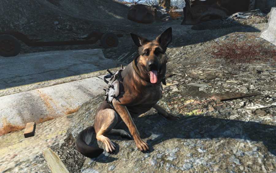 Dogmeat Video Game Character