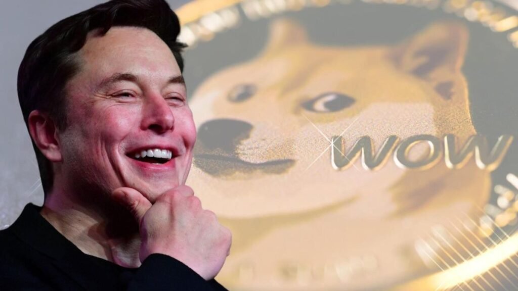 Elon Musk Dogecoin