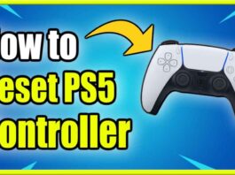 Reset The PS5 Controller