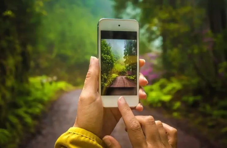 Tips for Capturing Nature Photos With Your Smartphone