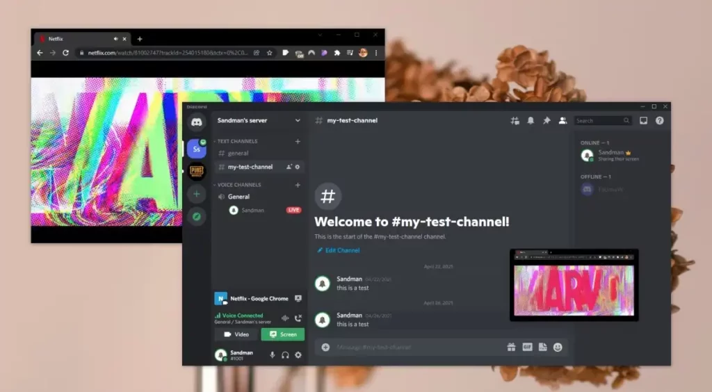 connect Netflix On Discord