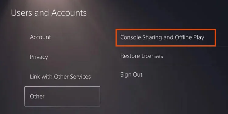 PS5 Console Sharing and Offline Play