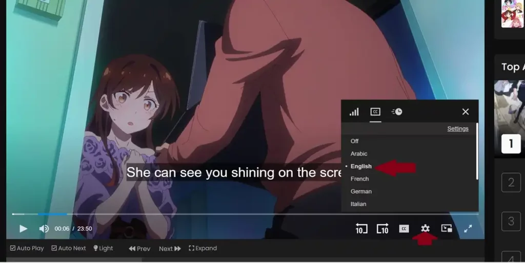Set Subtitles to another Language in 9Amine