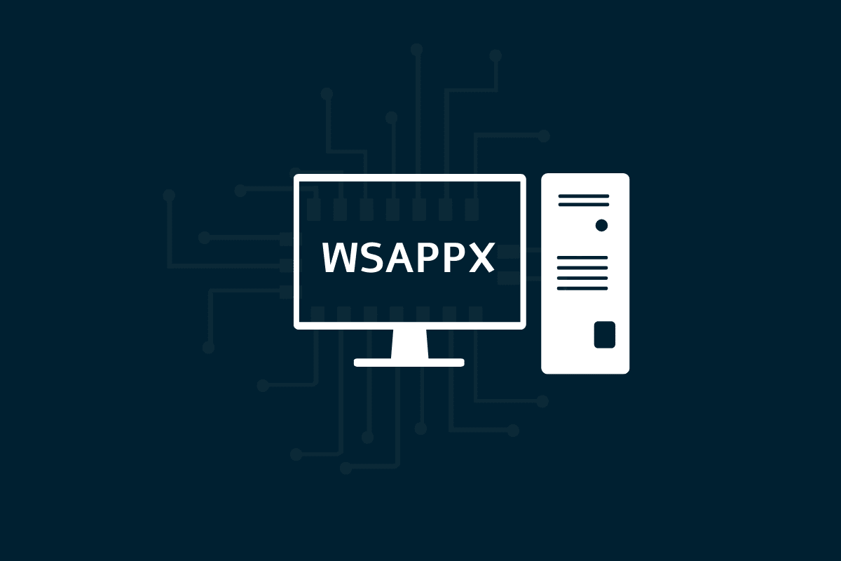 Wspp Software What Is Wsappx And Fix Wsappx Takes High CPU - MobbiTech