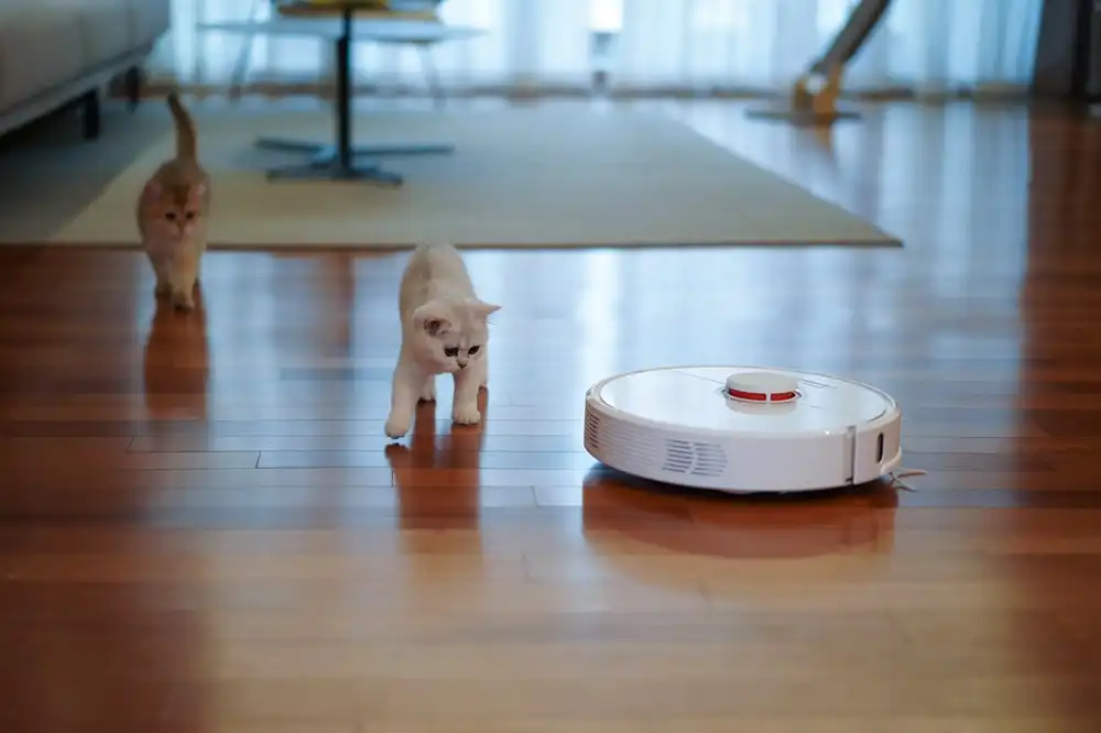 Cat-Friendly Cleaning: iRobot Roomba 694 Robot Vacuum