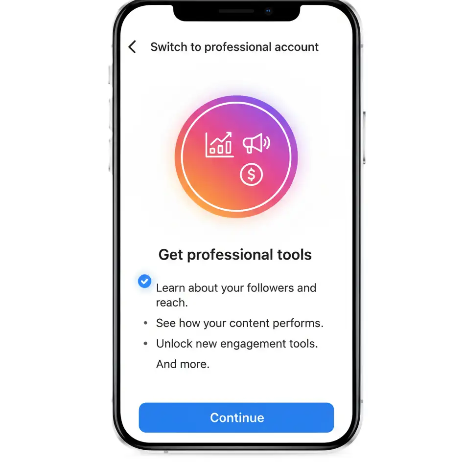 Instagram Switch to a Professional Account